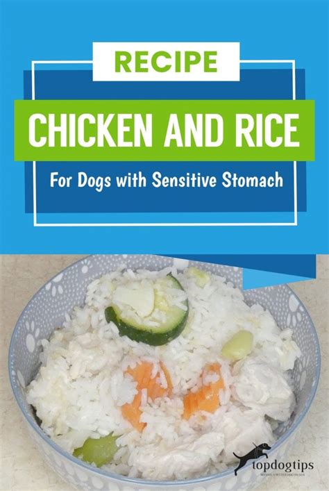 Is chicken and rice good for dogs. Things To Know About Is chicken and rice good for dogs. 